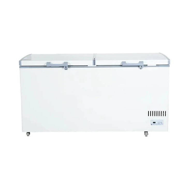 Chest Freezer Double Door best