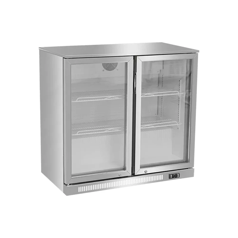 2 Door Beer Fridge best