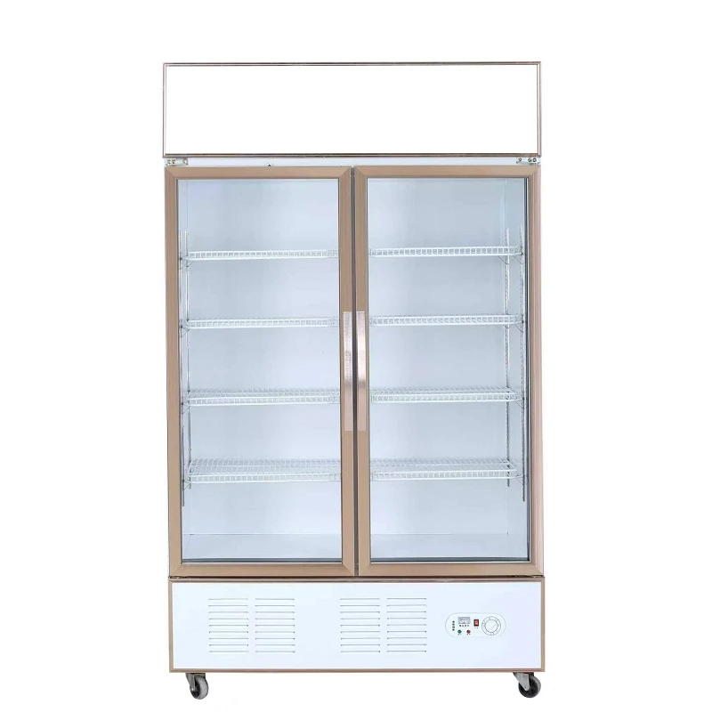 Beverage Cooler