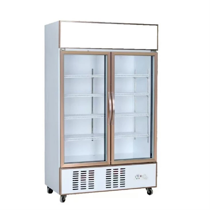 Beverage Fridge Double Door
