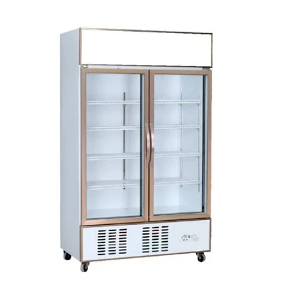 Beverage Fridge Double Door