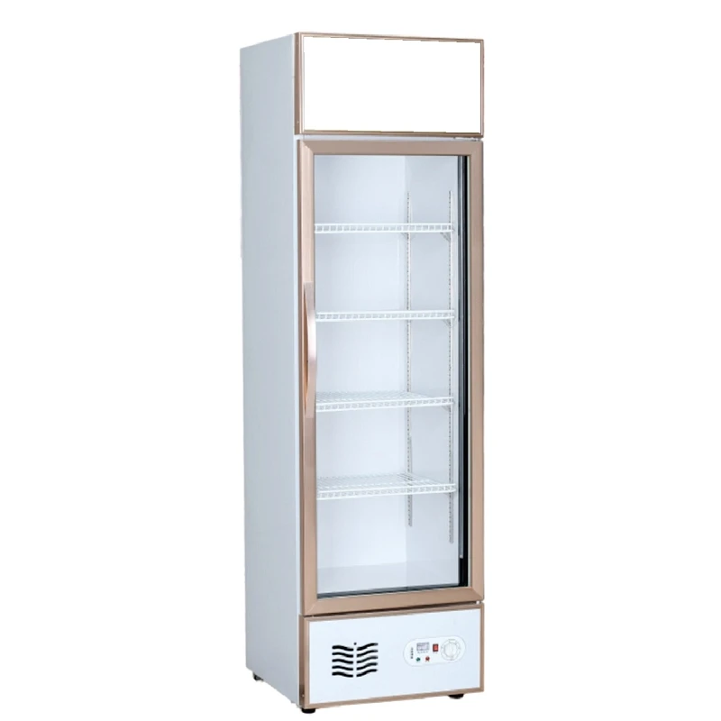 Single Glass Door Beverage Cooler