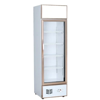 Single Glass Door Beverage Cooler