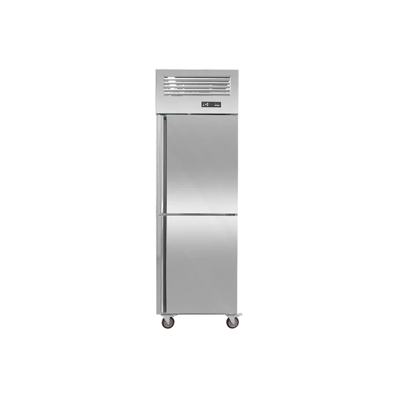 Two Door Air Cooled Fridge